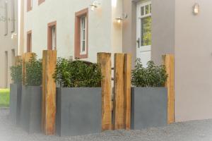 Fotografie z fotogalerie ubytování FeWo Freis in Brauneberg v destinaci Brauneberg