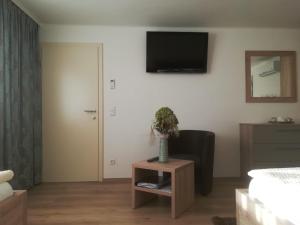 TV a/nebo společenská místnost v ubytování Appartments Gartenblick