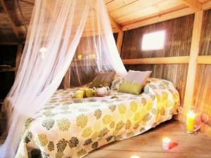 1 dormitorio con 1 cama con mosquitera en Les cabanes du lac du Der, en Giffaumont-Champaubert