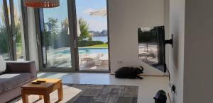 a dog laying on the floor in a living room at Villa Cape Vergoti in Lozenets