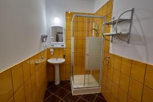 a bathroom with a glass shower and a sink at Pensiunea Daniel in Sibiu +37 photos