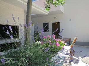 Zahrada ubytování Apartments Kuzmanic