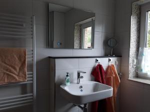 y baño con lavabo y espejo. en Birkenhainring 34 en Trassenheide