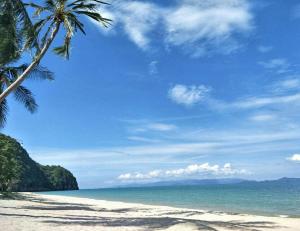 a beach with a palm tree and the ocean at Klang Aow Resort in Khanom