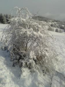 Obiekt Chalet zur Schmiede zimą