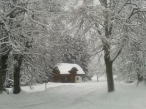 Obiekt Chalet zur Schmiede zimą
