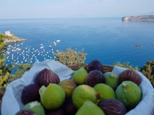 a basket of fruit with a view of the water at Villa Crawford in San Nicola Arcella