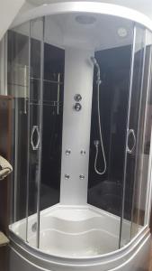 a shower with a glass door in a bathroom at Vila Curtea de Arges in Curtea de Argeş