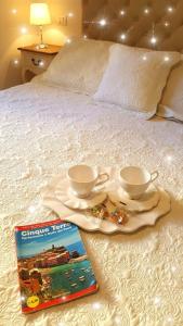 A bed or beds in a room at Affittacamere I Gatti delle 5 Terre