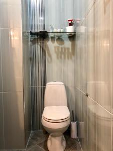 トビリシにあるTUTIKO apartmentの個室に白いトイレがあるバスルーム +33枚の写真