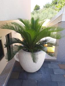 Fotografie z fotogalerie ubytování Apartments Kuzmanic v Omiši