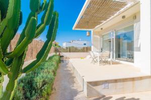 un cactus frente a una casa con patio en CAN BOSQUERRÓ en Sa Ràpita