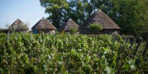Zahrada ubytování Is Cheas wine farm boutique hotel