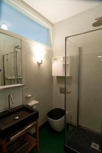 a bathroom with a shower and a sink and a toilet at Sachsenperle in Dresden