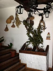 Fotografie z fotogalerie ubytování Hotel Posada San Antonio v destinaci El Bosque