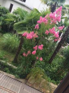 um jardim com flores cor-de-rosa e palmeiras em Apartment Popek Opatija em Opatija