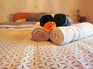 Postel nebo postele na pokoji v ubytování Kuća za odmor Pri Brozu