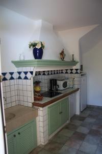 una pequeña cocina con armarios verdes y microondas en Appartement Avec Patio Et Garage Centre Ville Et Plage en Sanary-sur-Mer