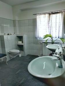 Kúpeľňa v ubytovaní Apartment Rude