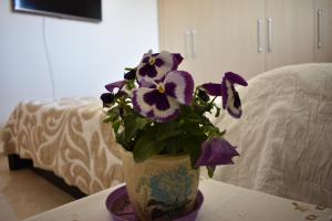 A bed or beds in a room at Small apartment, great view!