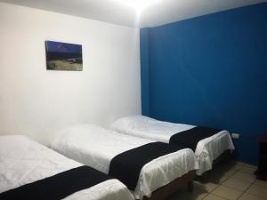 2 camas en una habitación con una pared azul en Hostal Albatros, en Manta