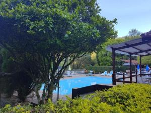 a swimming pool with a tree and a gazebo at Pousada Ypê das Montanhas in Monte Alegre do Sul +17 photos