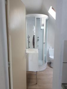 La salle de bains blanche est pourvue d'une douche et d'un lavabo. dans l'établissement Place de l'Eperon, au Mans