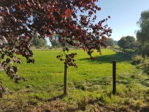Zahrada ubytování De Goeferdij vakantiewoning