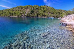 Gallery image of Robinson Jela in Bogomolje