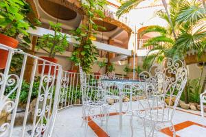 Zahrada ubytování Hotel Encino Malecón Centro Puerto Vallarta