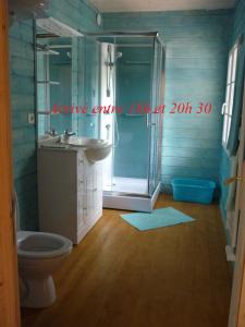 a bathroom with a toilet and a sink and a shower at Heartwood in Arbonne-la-Foret