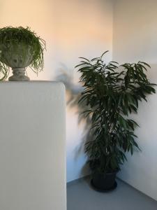 Zdjęcie z galerii obiektu Ferienhaus Karoline w mieście Pulkau