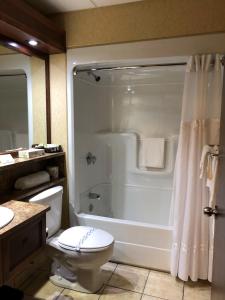 ein Bad mit einer Badewanne, einem WC und einer Dusche in der Unterkunft Hotel L'Oie des neiges in Lévis