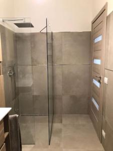 a shower with a glass door in a bathroom at casa Fantulìn Mare in Laigueglia