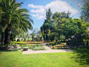 a garden with palm trees and a mountain in the background at Club Vergel Resort in Bernal