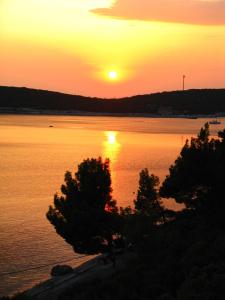 a sunset over a body of water with two trees at APARTMANI SENKA - VILLA OLIVER in Martinšćica