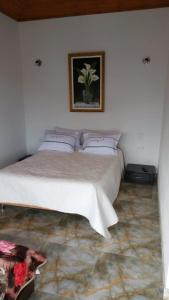 a bedroom with a bed with a picture on the wall at Feliz Amanecer in Sáchica