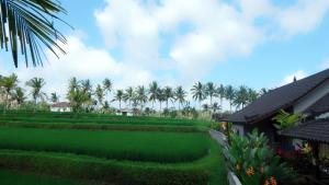Een tuin van Amaya Cottage Ubud by SHM