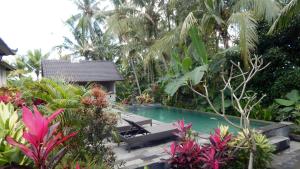 Het zwembad bij of vlak bij Amaya Cottage Ubud by SHM