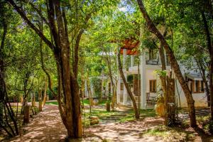 a house in the middle of a forest of trees at Amaara Forest Hotel Sigiriya in Sigiriya