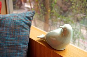 青年旅館或附近的動物