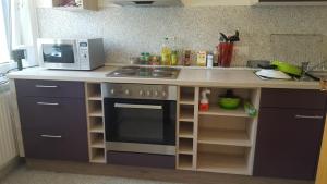 Kuchyň nebo kuchyňský kout v ubytování Hotel garni Zwickau-Mosel
