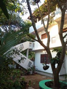 a white house with a tree in front of it at Seagull's Nest in Tangalle