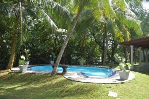 a swimming pool in a yard with a palm tree at Sethra Villa Bentota in Bentota