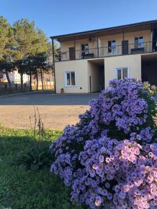 un montón de flores púrpuras delante de un edificio en Hotel Romantika, en Akhaltsikhe