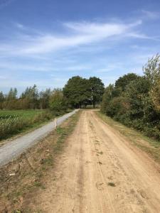 een onverharde weg in het midden van een veld bij Voorhuis in Eelde-Paterswolde