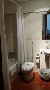 y baño con aseo, ducha y lavamanos. en Hotel Los Cascajos, en San Nicolás