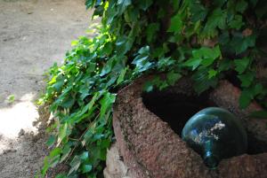 A garden outside Masia El Canalot - Molí Del Pont