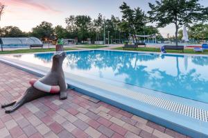 Bazén v ubytování Hunguest Hotel Aqua Sol nebo v jeho okolí