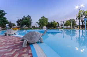 Bazén v ubytování Hunguest Hotel Aqua Sol nebo v jeho okolí